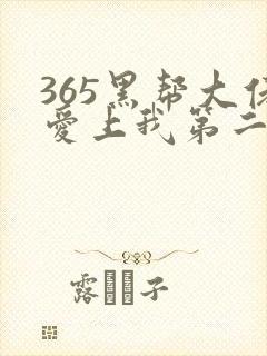 365黑帮大佬爱上我第二部