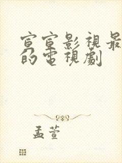 宣宣影视最好看的电视剧封面