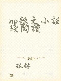np辣文小说在线阅读