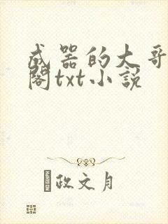 成器的大哥笔趣阁txt小说