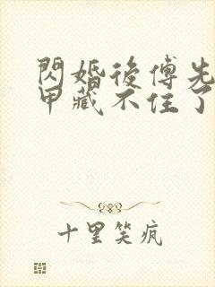 闪婚后傅先生马甲藏不住了 视频