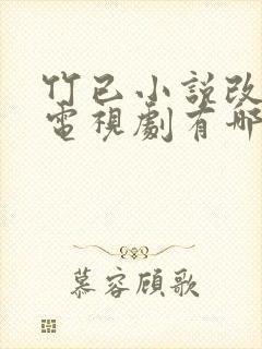 竹已小说改编的电视剧有哪些