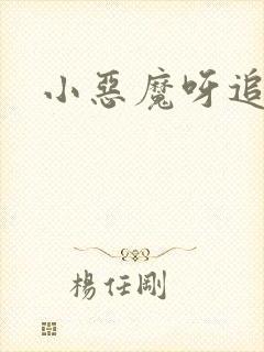 小恶魔呀追剧封面