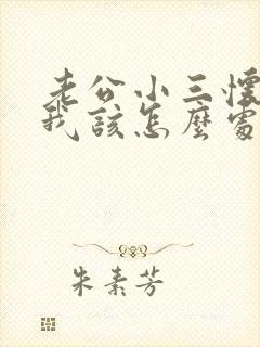 老公小三怀孕了我该怎么处理封面