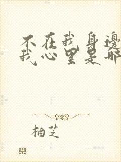 不在我身边却在我心里是哪首歌歌词