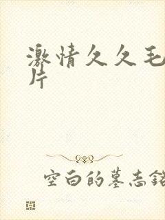 激情久久毛片影片