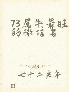 73属牛最旺财的微信名