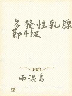 多发性乳腺有结节4级封面