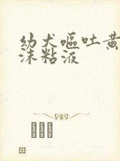 幼犬呕吐黄水泡沫粘液