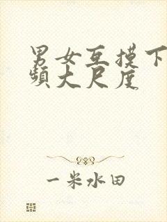 男女互摸下面视频大尺度