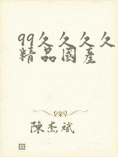 99久久久久久精品国产封面