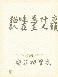 猫咪为什么喜欢趴在主人头顶睡觉封面