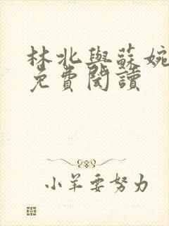 林北与苏婉全文免费阂读封面