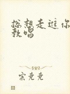 总想走进你心里教唱