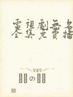 电视剧无名卫士全集免费播放