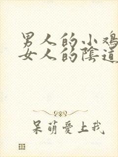 男人的小鸡插进女人的阴道视频