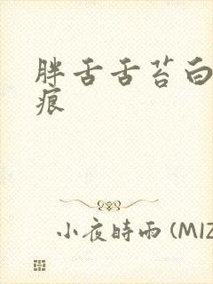 胖舌舌苔白腻齿痕