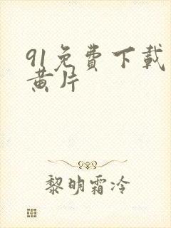 91免费下载小黄片封面