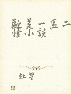 欧美一区二区激情小说