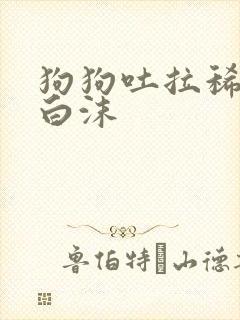 狗狗吐拉稀呕吐白沫