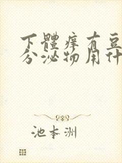 下体痒有豆腐渣分泌物用什么药