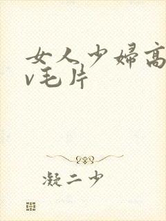 女人少妇高潮av毛片