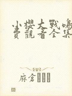 小樱大战鸣人免费观看全集在线观看