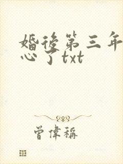婚后第三年她变心了txt封面