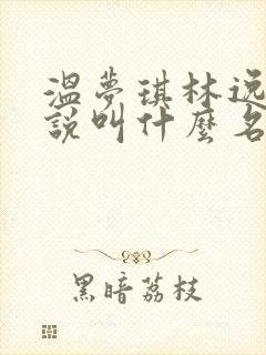 温梦琪林逸飞小说叫什么名字封面