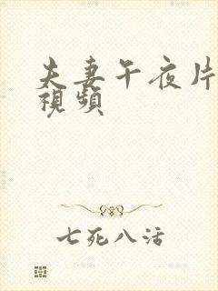 夫妻午夜片在线视频