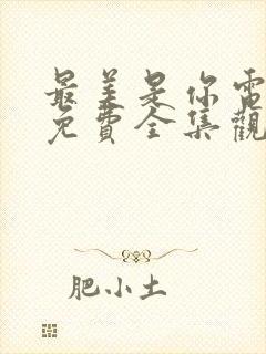 最美是你电视剧免费全集观看