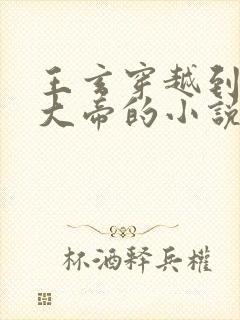 王玄穿越到狠人大帝的小说