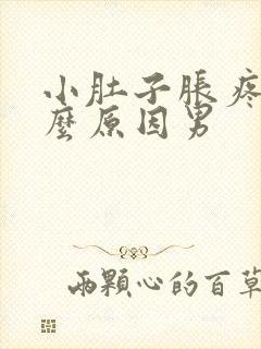 小肚子胀疼是什么原因男