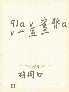 91aⅴ蜜臀av一区二