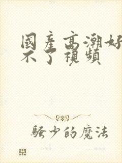 国产高潮好爽受不了视频