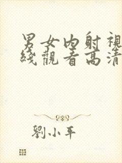 男女内射视频在线观看高清