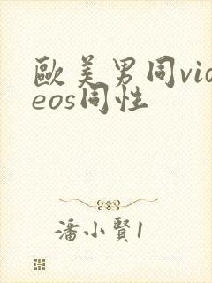 欧美男同videos同性