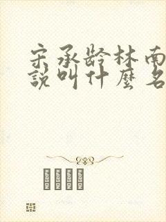 宋承龄林南薇小说叫什么名字