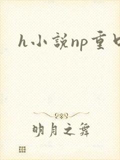 h小说np重口