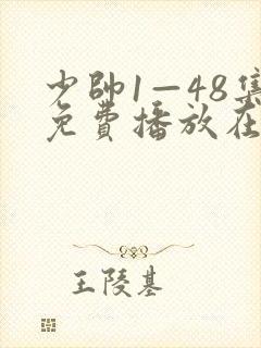 少帅1—48集免费播放在线观看