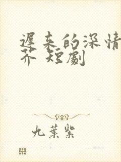 迟来的深情如草芥 短剧