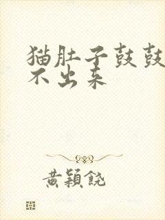 猫肚子鼓鼓的尿不出来