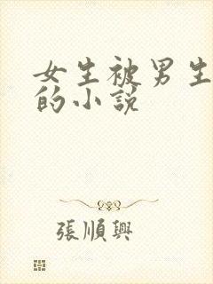 女生被男生操哭的小说封面