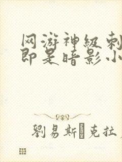 网游神级刺客我即是暗影小说