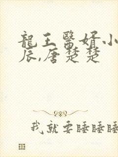 龙王医婿小说江辰,唐楚楚