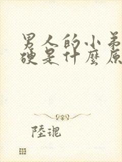 男人的小弟弟不硬是什么原因