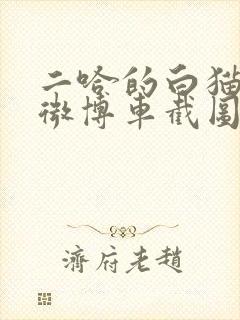 二哈的白猫师尊微博车截图