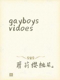 gayboysvidoes