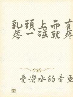 乳头上面有小疙瘩一碰就疼