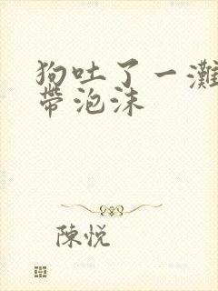 狗吐了一滩黄水带泡沫